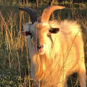 Meet your Posher, Cassy